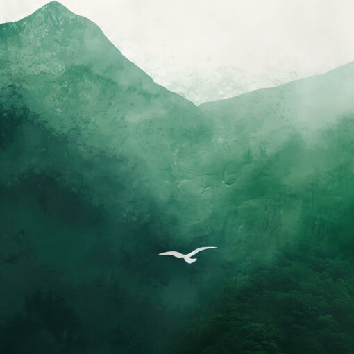 Emerald Heights - Image 5