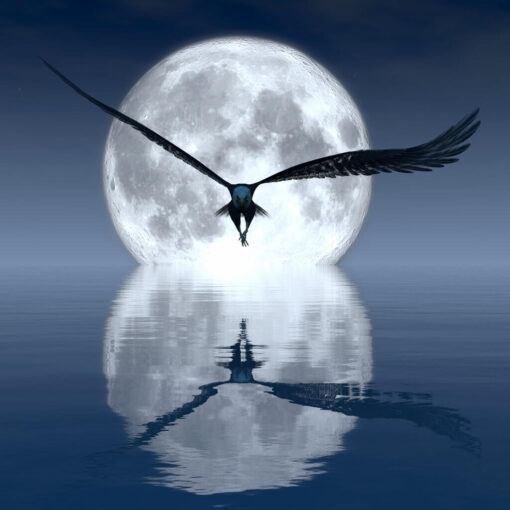 Lunar Flight - Image 4