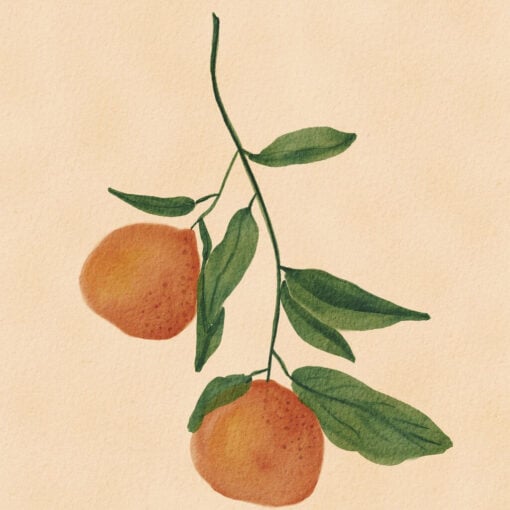 Harvest Minimal - Image 4