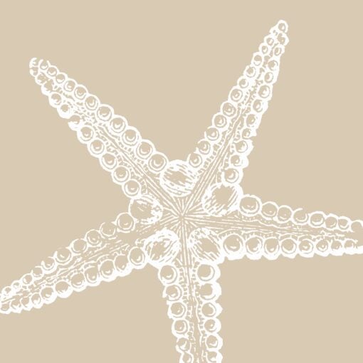 Echo Star - Image 5