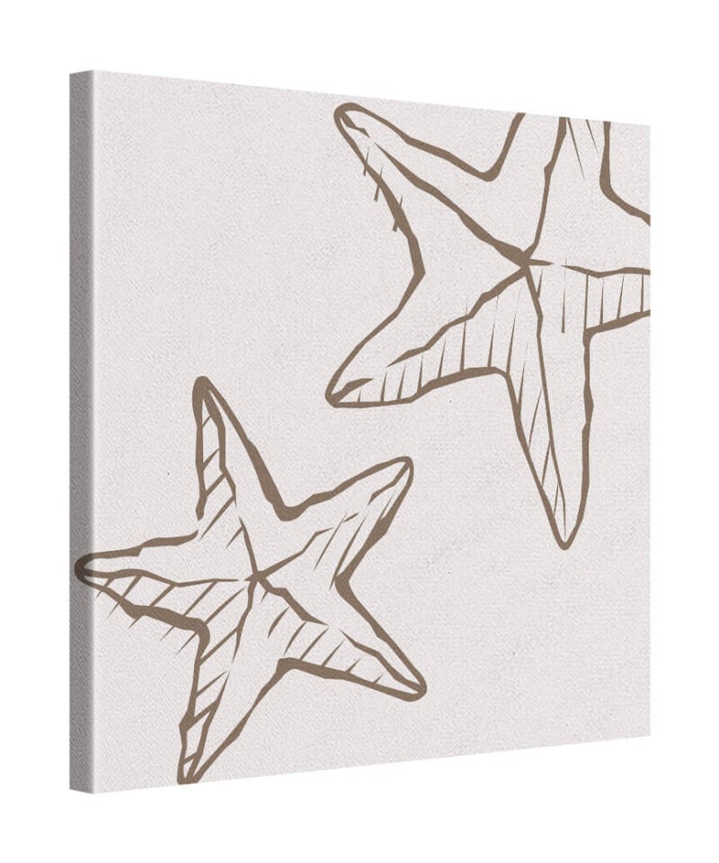 Star Echo
