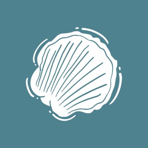 Shell Hint - Image 5