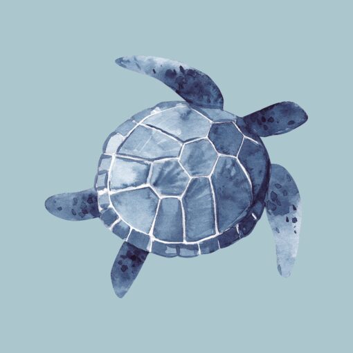 Sea Friend - Image 5