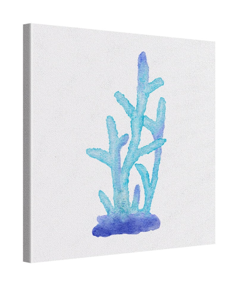 Branching Calm