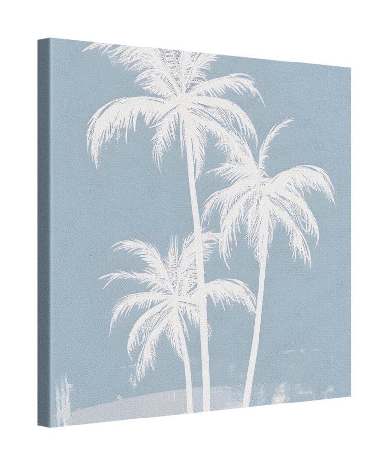 Palm Horizon