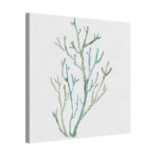 Coral Form